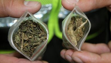 marihuana incautada